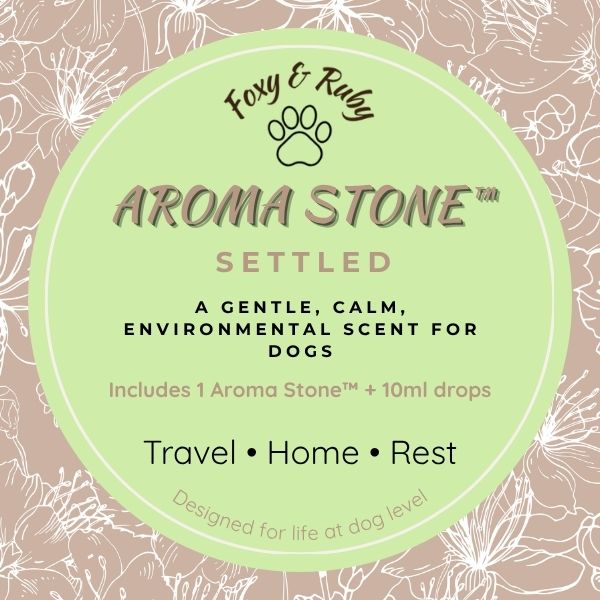 Aroma Stone™ – Settled | Dog-Conscious Aromatherapy for Travel