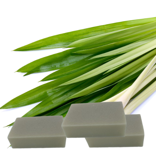 Bug Off dog shampoo bar — neem lemongrass coconut