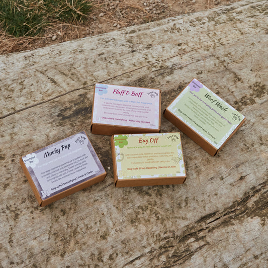 natural essential oil shampoo bars for dogs in winter