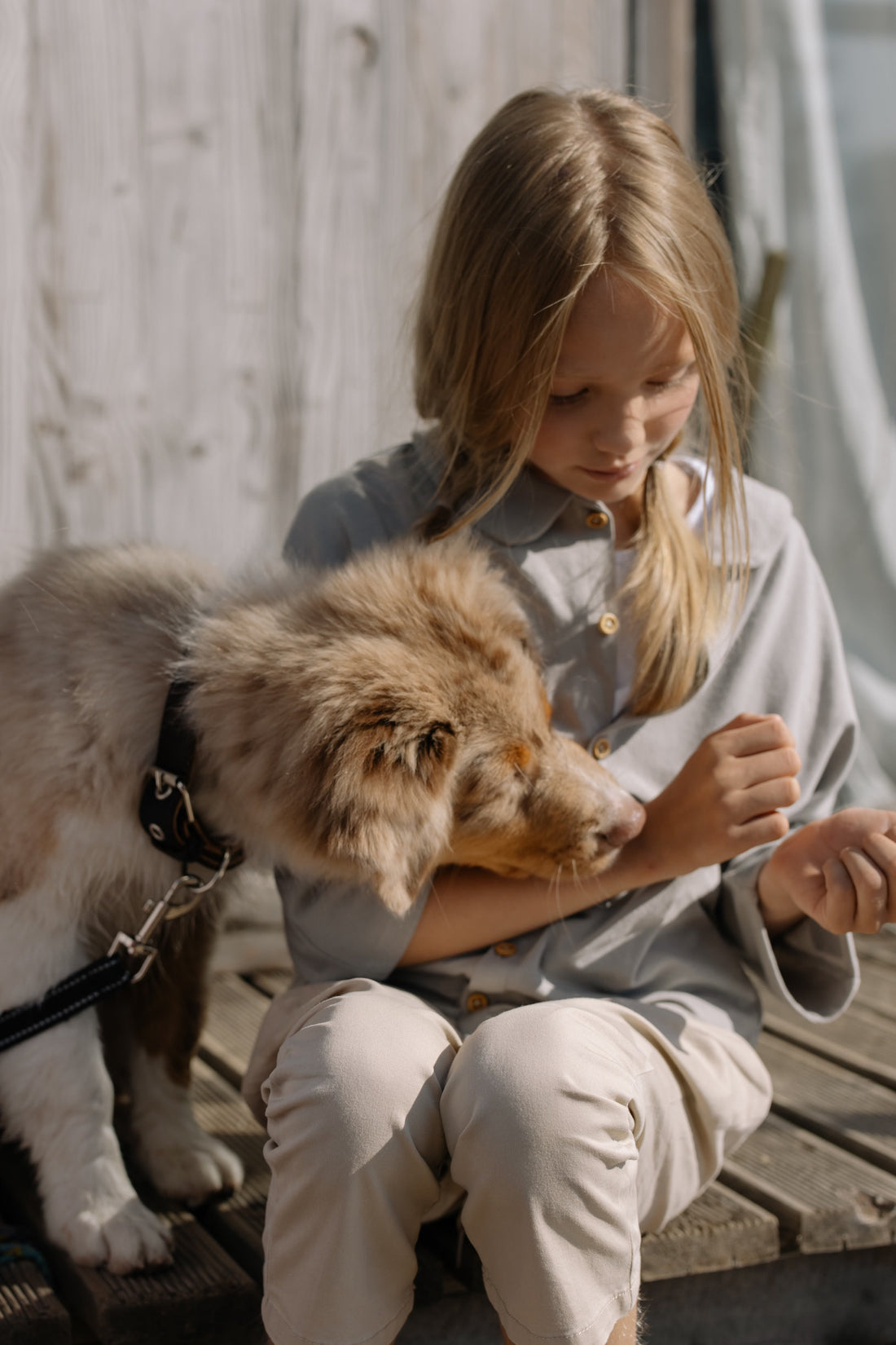 The House Goes Quiet in September. Is Your Dog Ready?