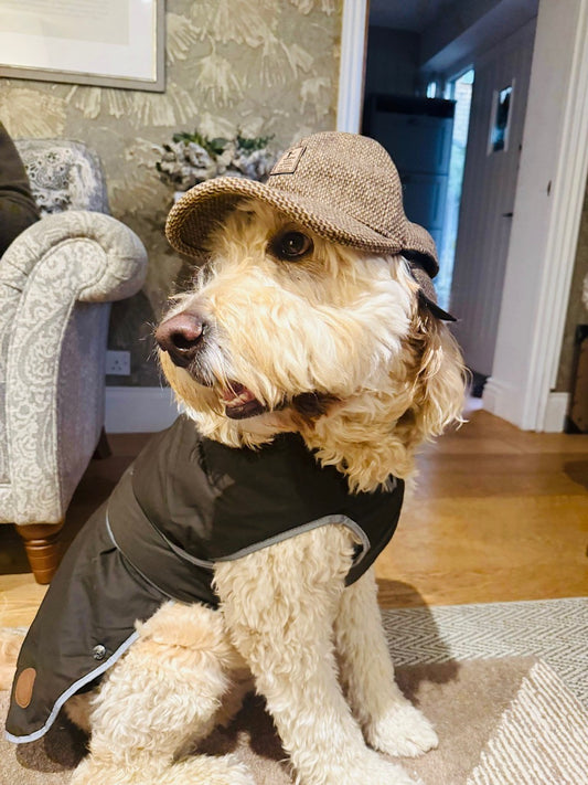 Ancol - Green Heritage Wax Jacket