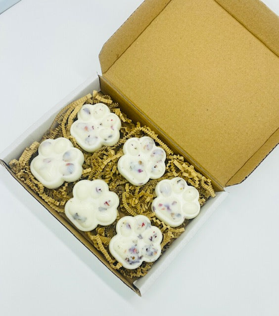 Box of white paw-shaped scented wax melts with visible seeds on a white background
