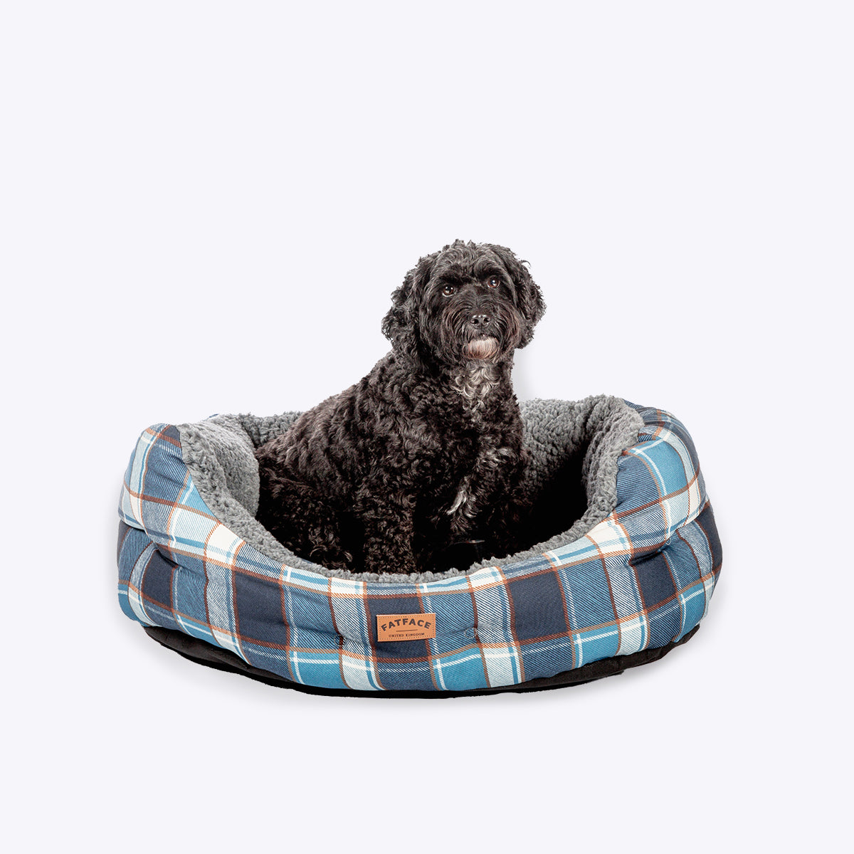 Black dog sitting in a Danish Design FatFace blue checked fleece slumber bed