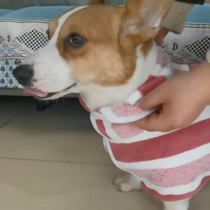 Dry & Snuggle Dog Bathrobe
