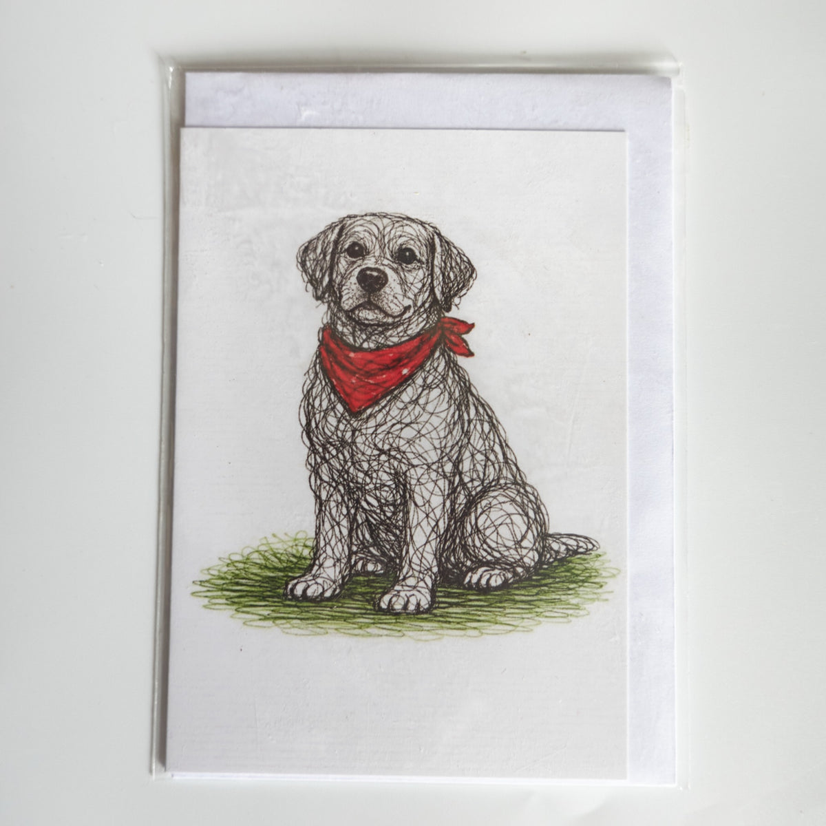 Illustrated Labrador greetings card with red bandana and envelope
