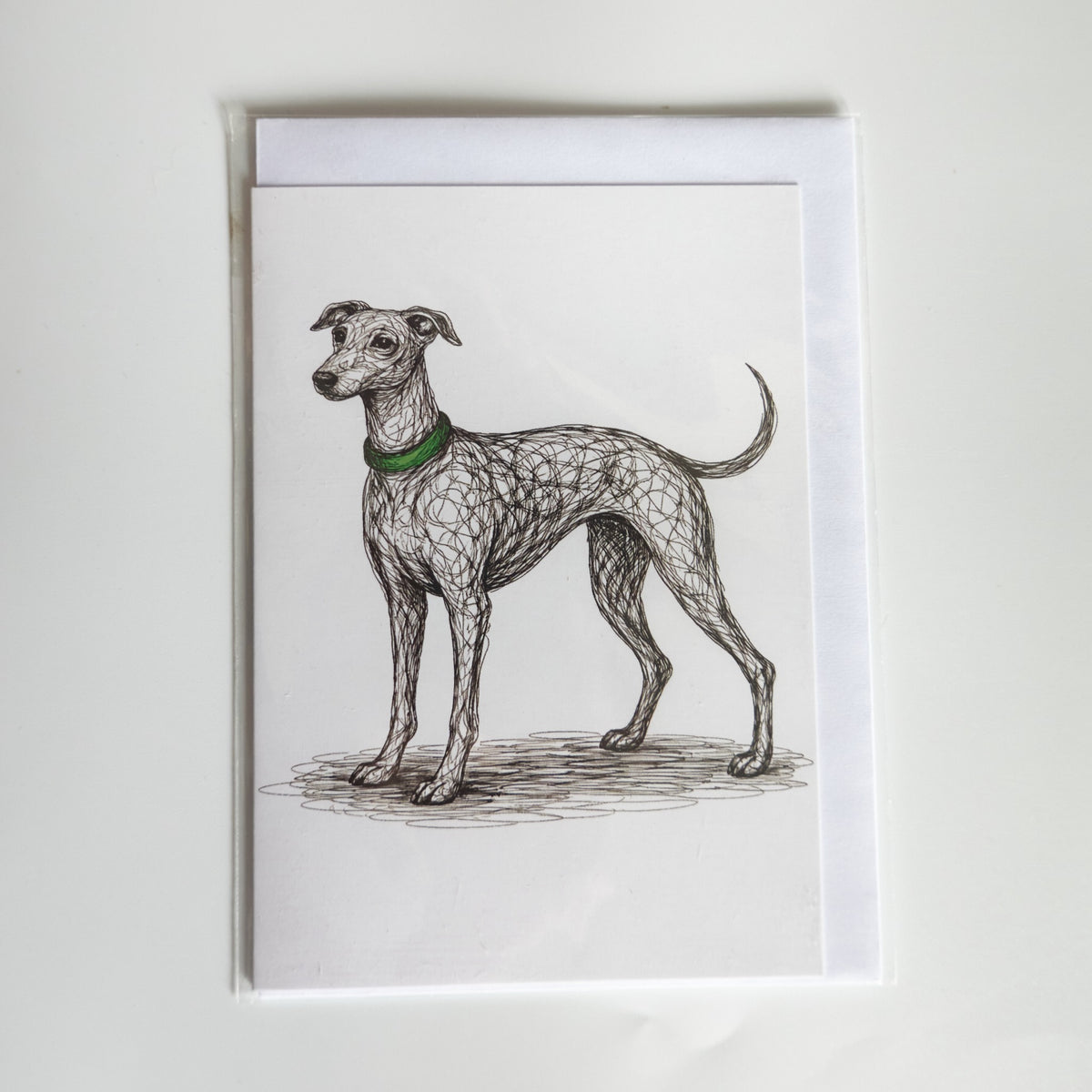 Illustrated Whippet greetings card with green collar and envelope